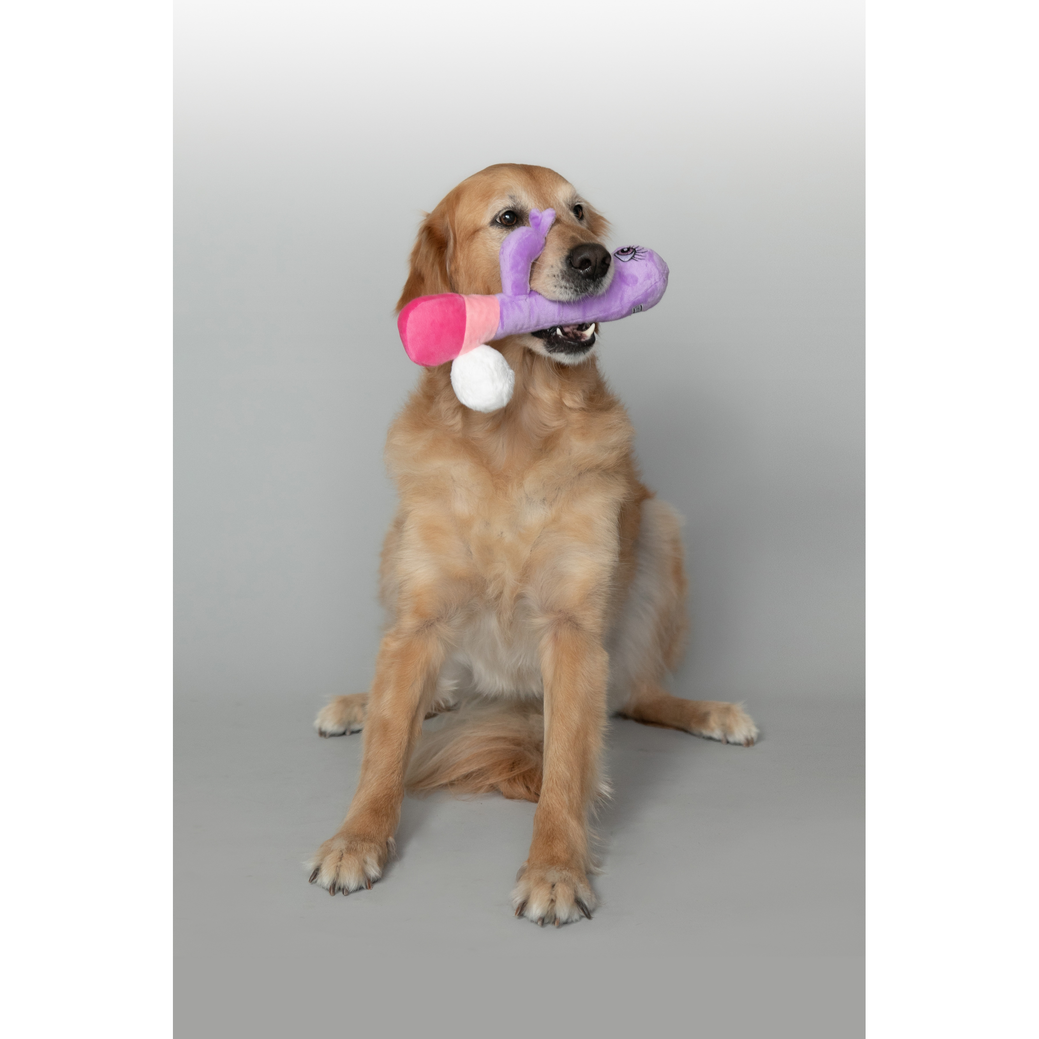 C1R B2B - Wholesale Pet plush toy – Dog - Scruffy - Bunny Vanderpup (Rabbit)2