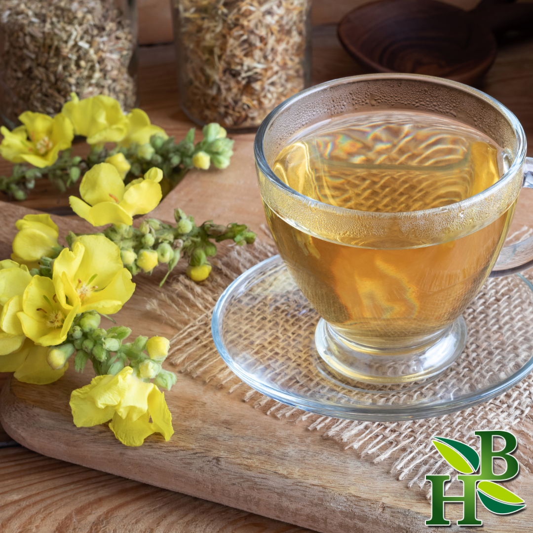 Herb To Body - Wholesale Herbs - Mullein Leaf Powder 4oz1