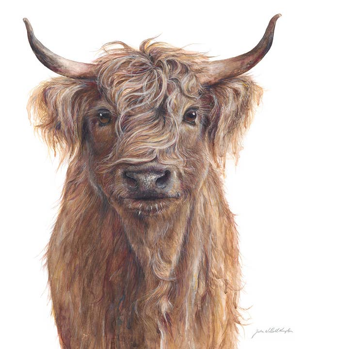 Jodie Westall Art - Wholesale Everyday greeting card - ‘Hamish’ Highland Cow - Greeting Card3