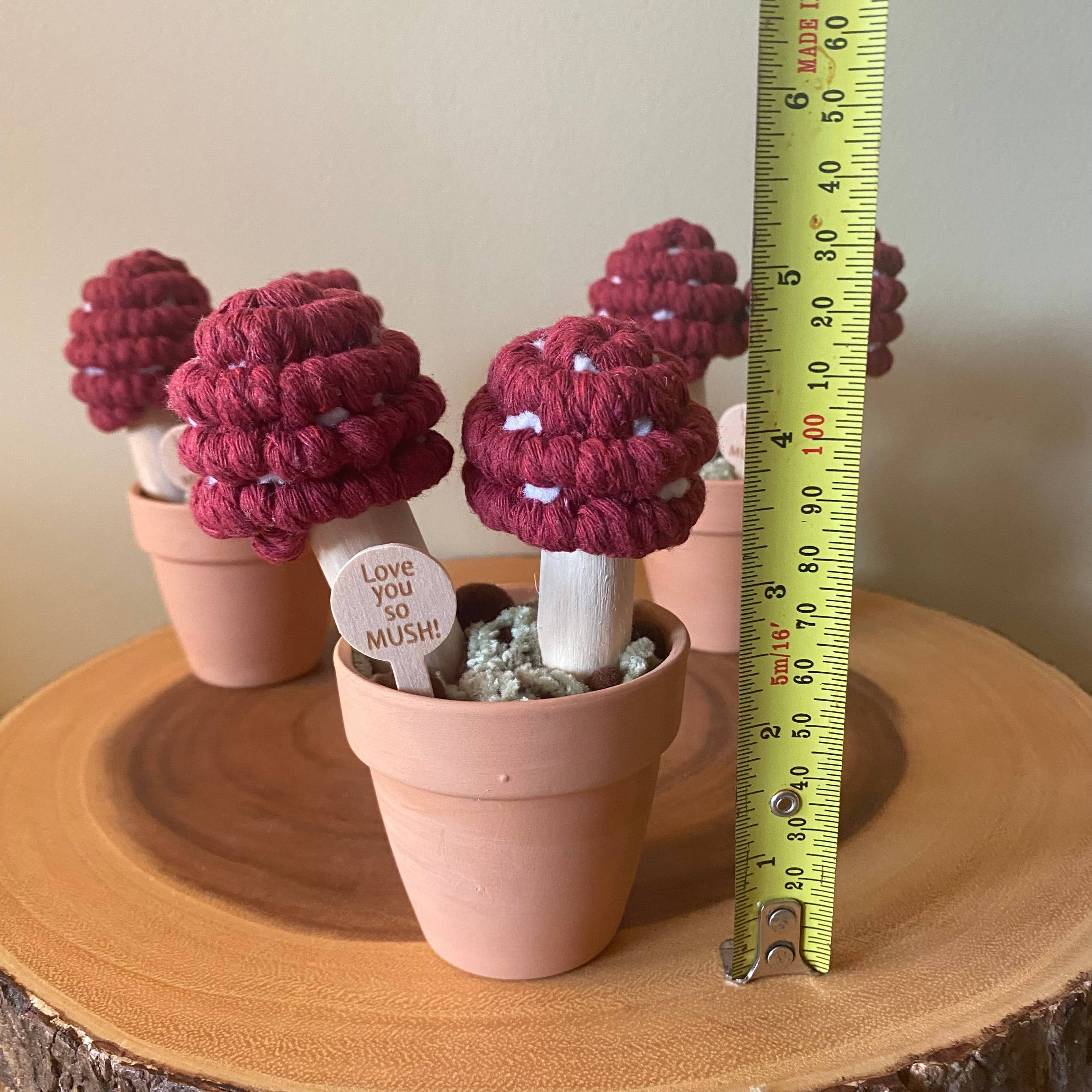 ForgetBKnot - Wholesale Artificial Plant - “Love you So Mush” Macrame Mushroom Arrangement3