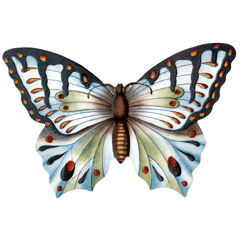 Laughing Elephant – Großhandel Aufkleber – Butterfly Box — Stickerbox für den täglichen Gebrauch21