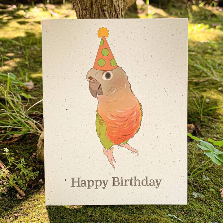 Happy Birthday - Pineapple Green Cheek Conure for wholesale by Hakuna Matata Vibes