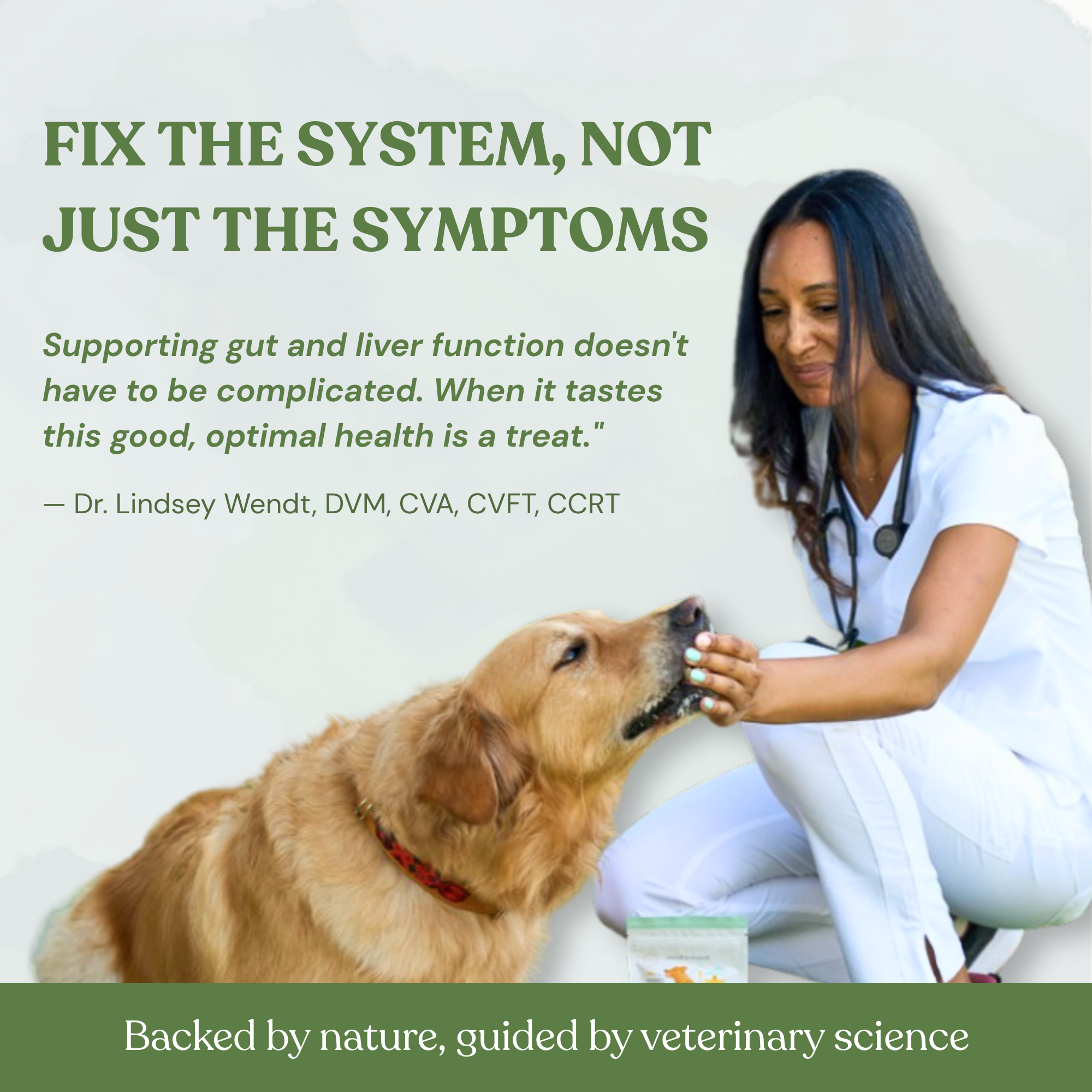 Botanical Bones – wholesale Godis - Hund – Inner Glow Cookies – Naturliga, ekologiska hundgodis5