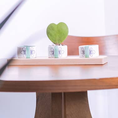 Tipsy Pots and Tray for wholesale by Hold on to Your Plants