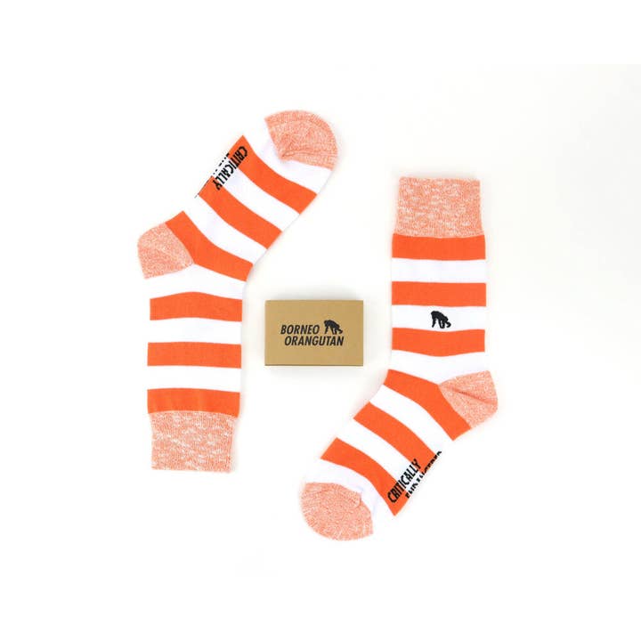 Orangutan Stripe for wholesale by Critically Endangered Socks