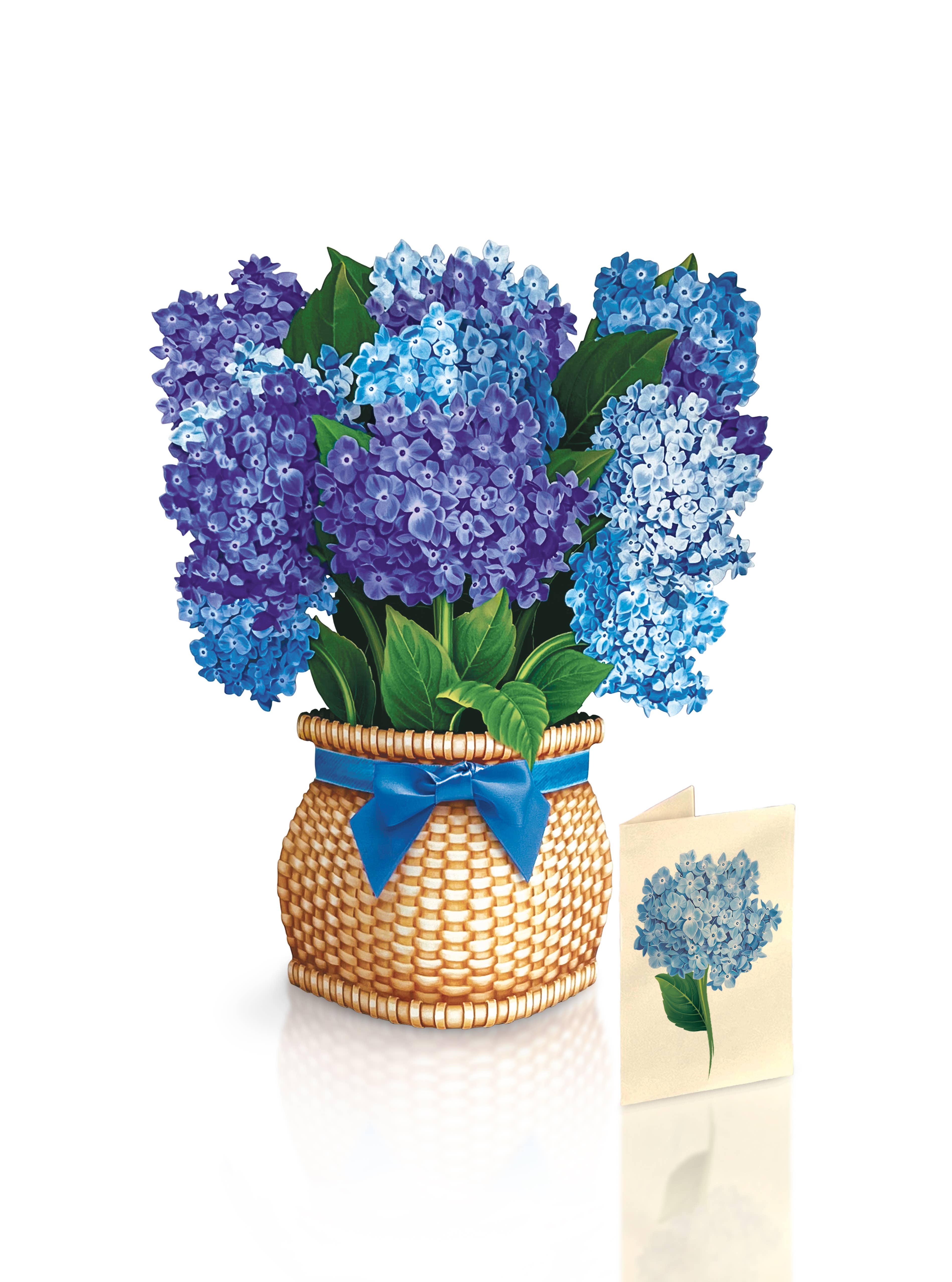 FreshCut Paper LLC – wholesale Everyday greeting card – Nantucket Hydrangeas (8 Pop-up Greeting Cards)5