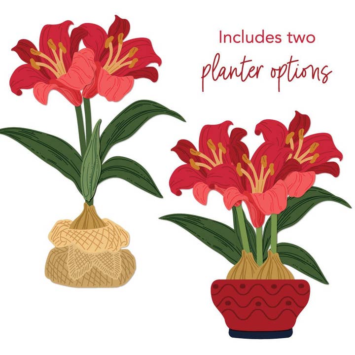 Lovely Layers: Amaryllis - Honey Cuts - Stand-Alone Dies for wholesale by Honey Bee Stamps