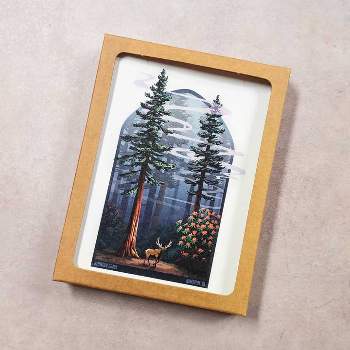 Ensemble de cartes de vœux en boîte de la côte Redwood pour la vente par DeMartini Designs