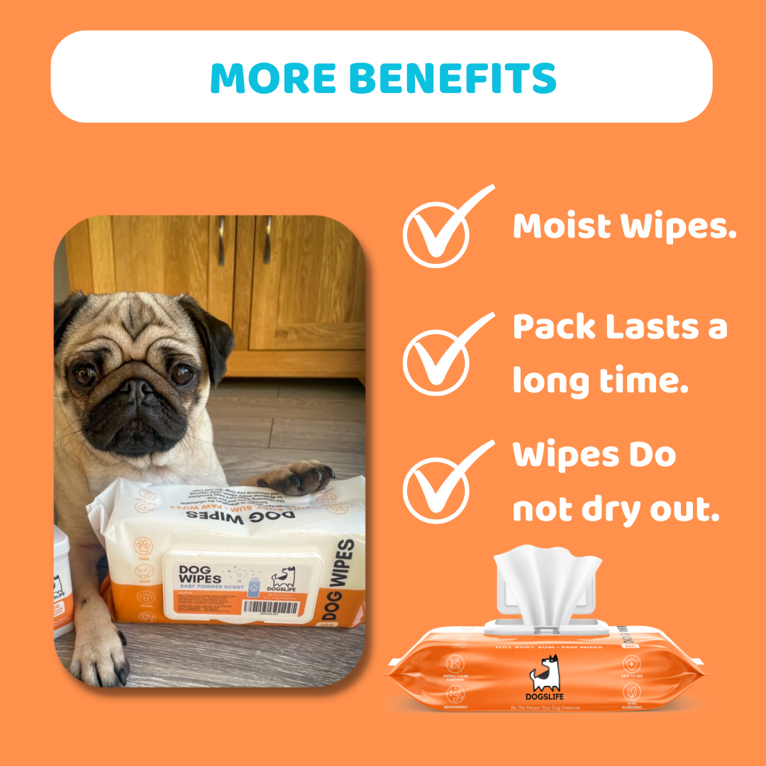 OurPetsLife - Wholesale Pet grooming aid – Dog - Scented Dog Wipes4