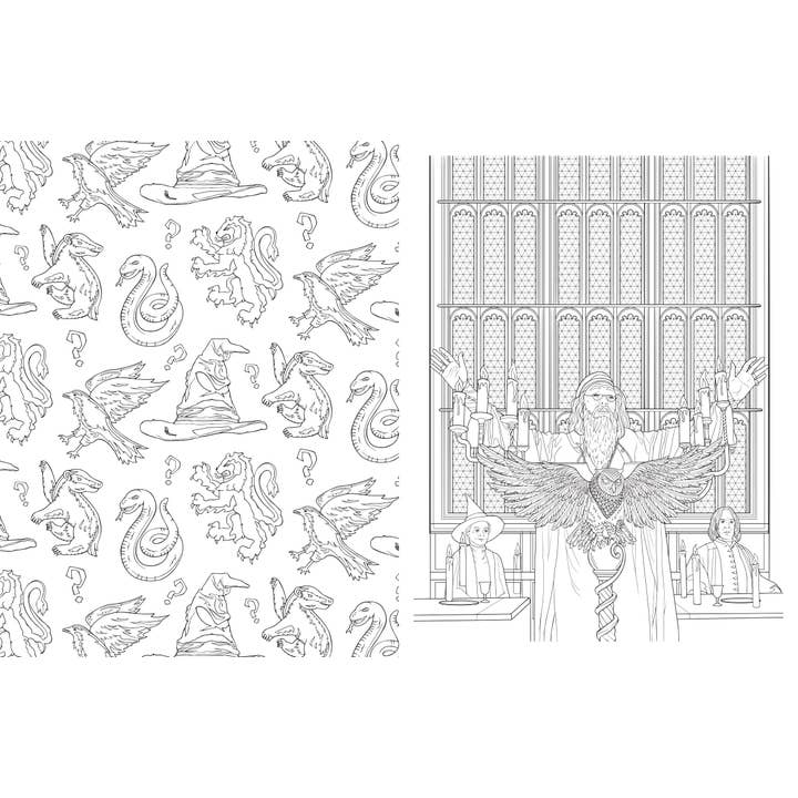 Insight Editions - Vente Livre de coloriage – adulte - Harry Potter : Poudlard : un livre de coloriage officiel