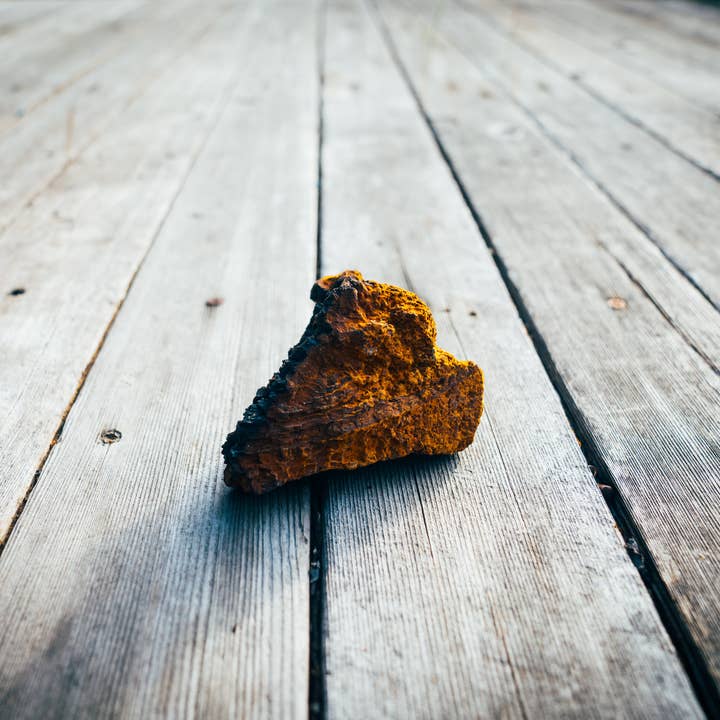 Morceaux de Chaga pour Thé pour la vente par Saluz Health