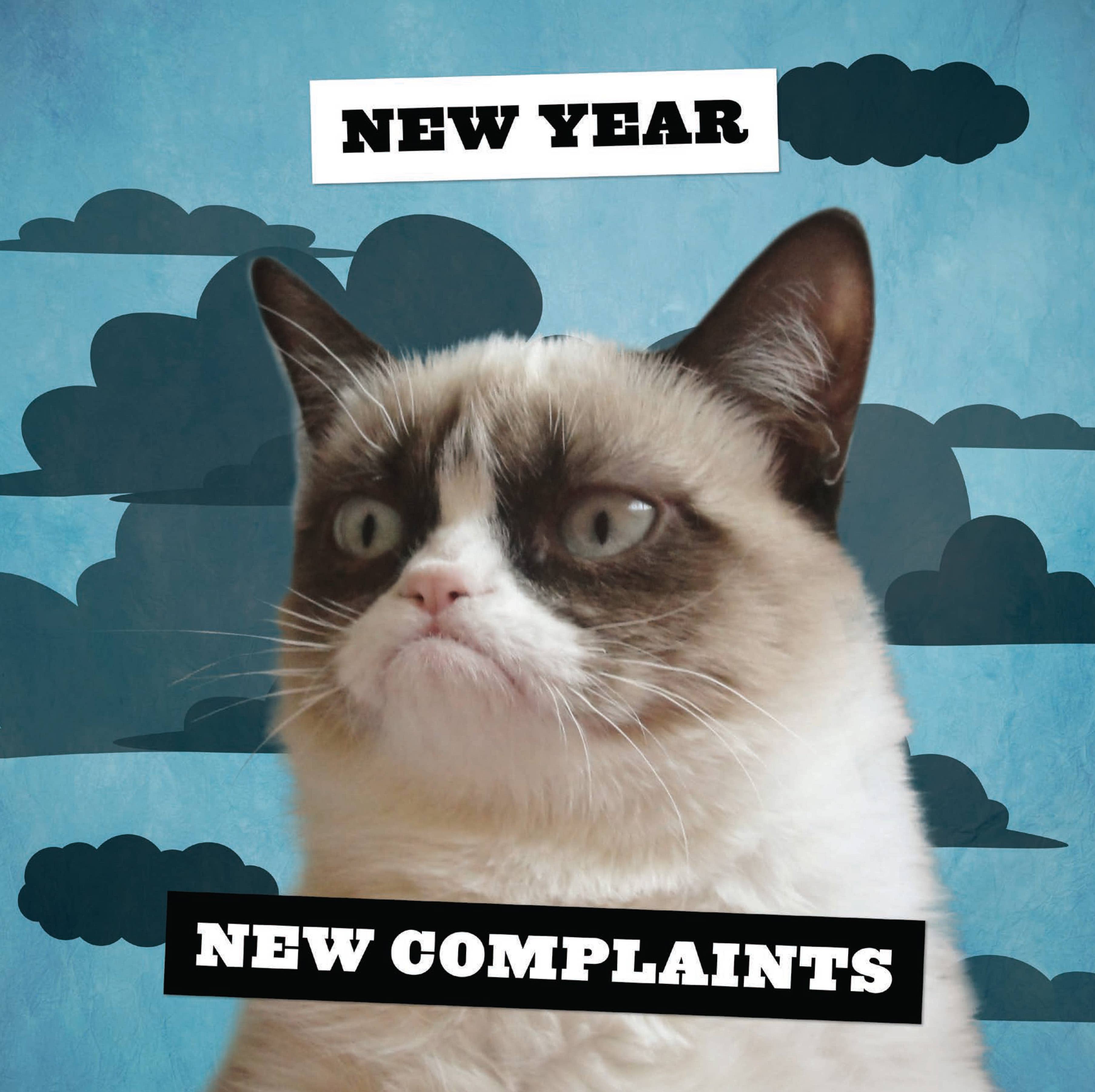 Chronicle Books - Wholesale Calendar - Grumpy Cat 2026 Wall Calendar4