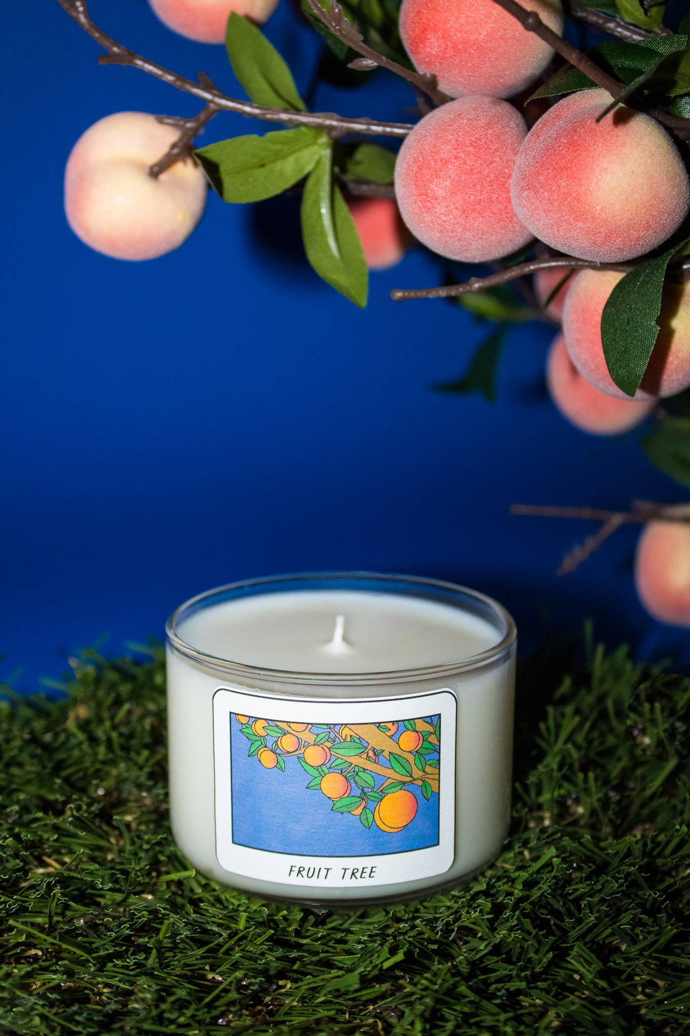 Fresa Creative - Wholesale Jar/Filled Candle - Fruit Tree / Apricot Mini Candle / Latina + Midwest Inspired2