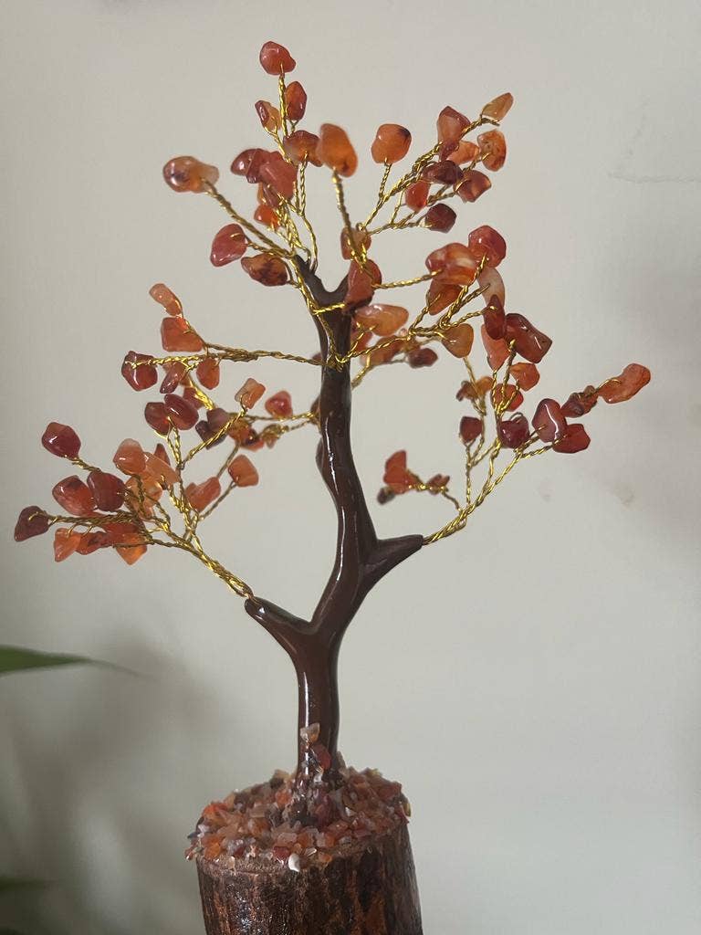jiomind - Wholesale Spiritual Stone/Crystal - Red Carnelian Crystal Tree (100 chips)4