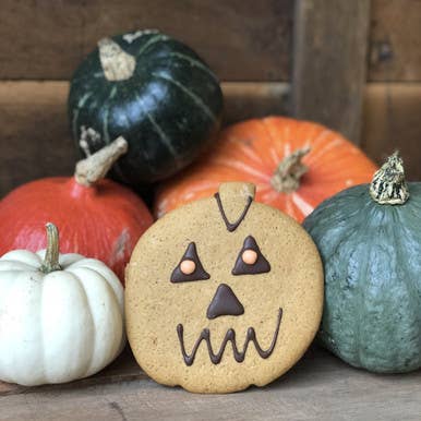 Gingerbread Pumpkin, X 100 for wholesale by Lottie Shaw's