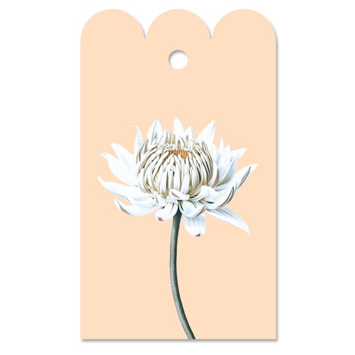 30x40 - Wholesale Gift Tag - Dahlia Hang Tag floral Gift Tag