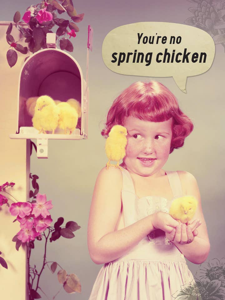 BD/Spring Chicken for wholesale by Greeting Cards by Norcard