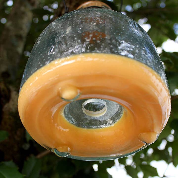Kurated Korner - Wholesale Outdoor Ornament/Decor - Darware Glass Wasp Traps (2pk)3