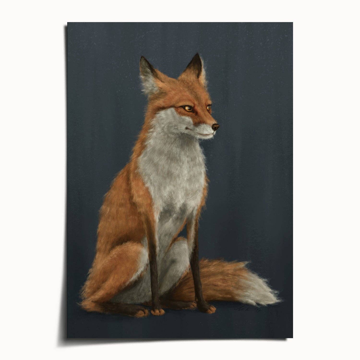 The Ugly Cat Studio - Wholesale Art Print - Red Fox Fine Art Print - Blue Edition0
