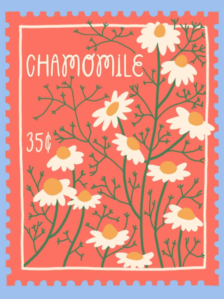 Wildflower Postcard Pack for wholesale by Pen+Pine