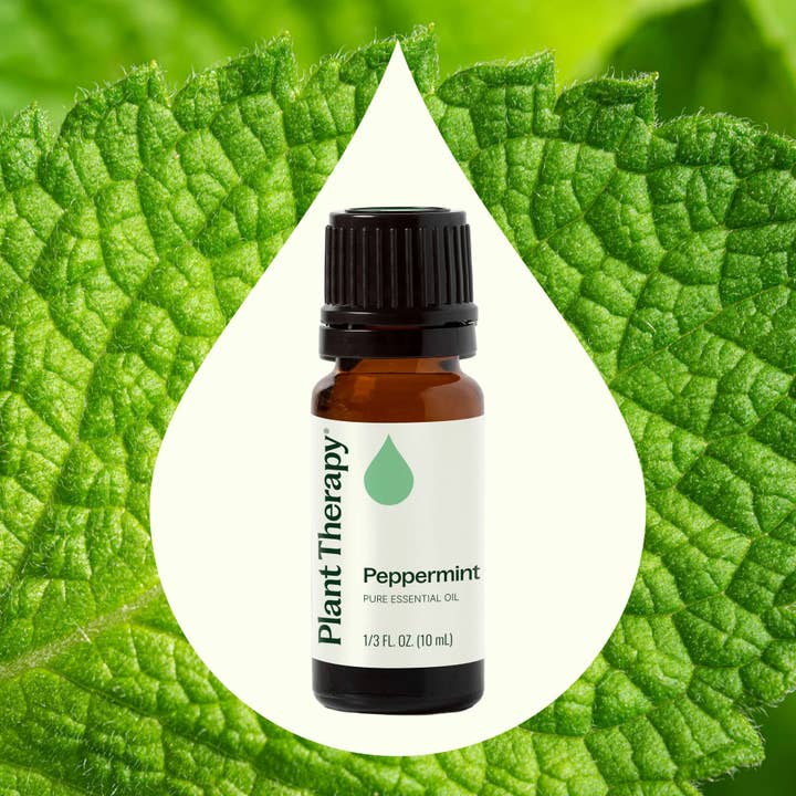 Plant Therapy – wholesale Eterisk olja – Pepparmynta eterisk olja 10 ml
