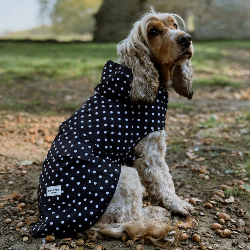 Cocopup London - Wholesale Pet Raincoat - Dog - Dog Raincoat - Black Polka Dot6