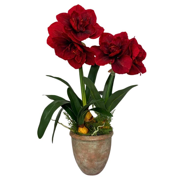 David Christopher's Collection - Wholesale Artificial Plant - 26.5" Amaryllis Plant Potted