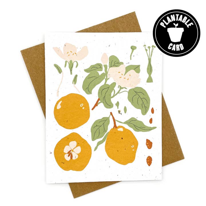 Carte-note vierge Spring Lemons pour la vente par Cato & Company
