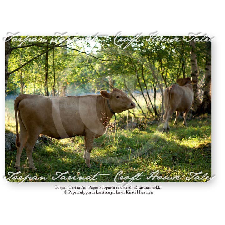 Cows On The Forest Pasture, Torpa Stories® Postcard, A6 for wholesale by Paperisilppuri
