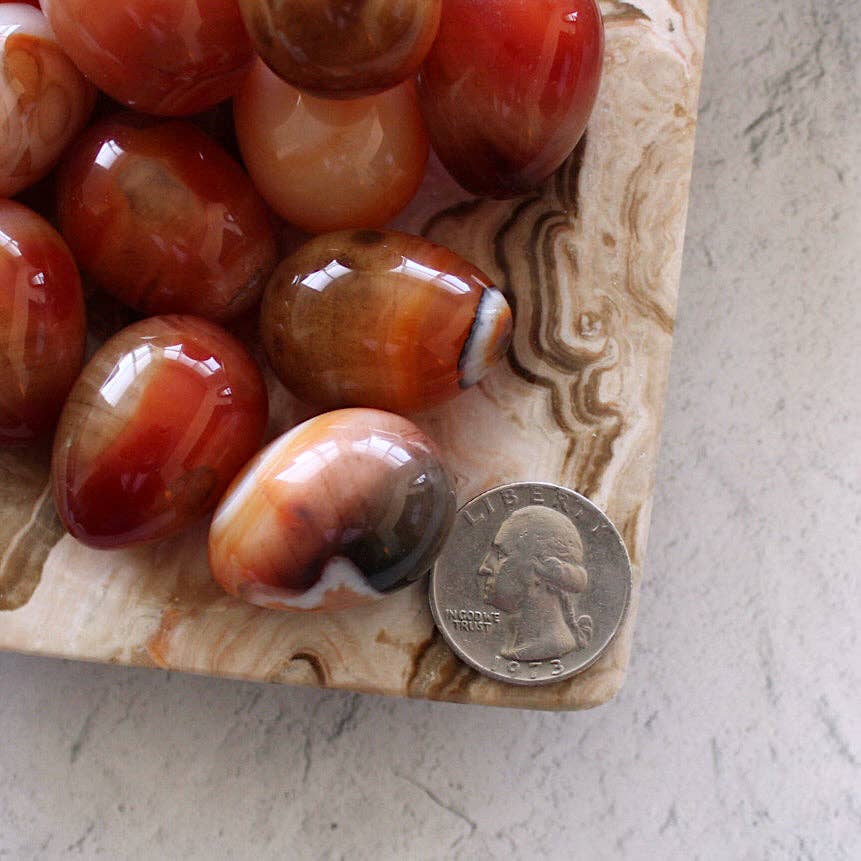 Pebble House - Wholesale Spiritual Stone/Crystal - Carnelian Mini Egg (Crystals & Stones)3