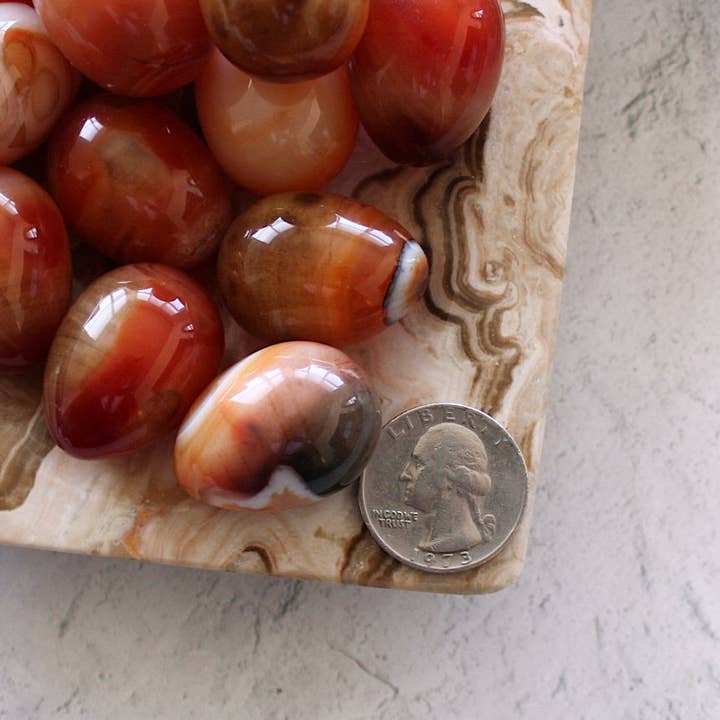 Pebble House - Wholesale Spiritual Stone/Crystal - Carnelian Mini Egg (Crystals & Stones)3