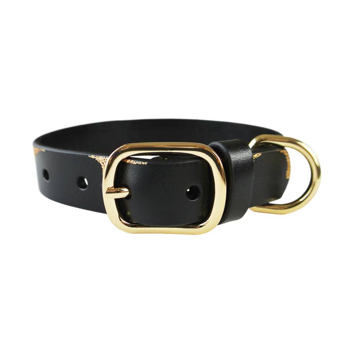 Dripping in Gold Dog Collar - With or Without Spikes for wholesale by eye of dog