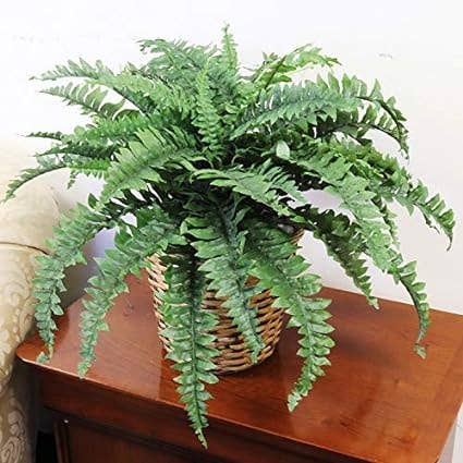Larksilk - Wholesale Artificial Plant - Boston Fern Artificial Plant - Uv Resistant Indoor/Outdoor1