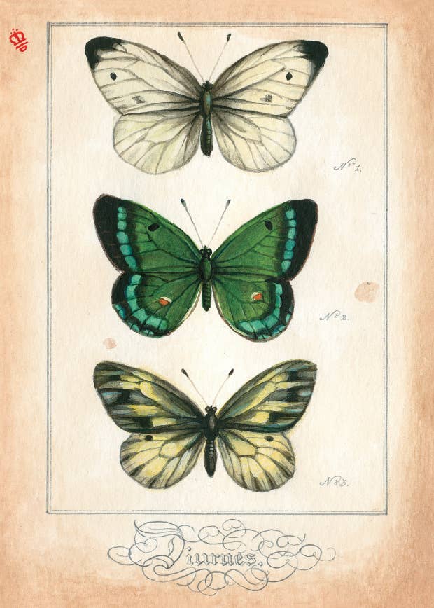 Bomo Art Budapest - Wholesale Everyday Greeting Card - Greeting Card + Envelope52