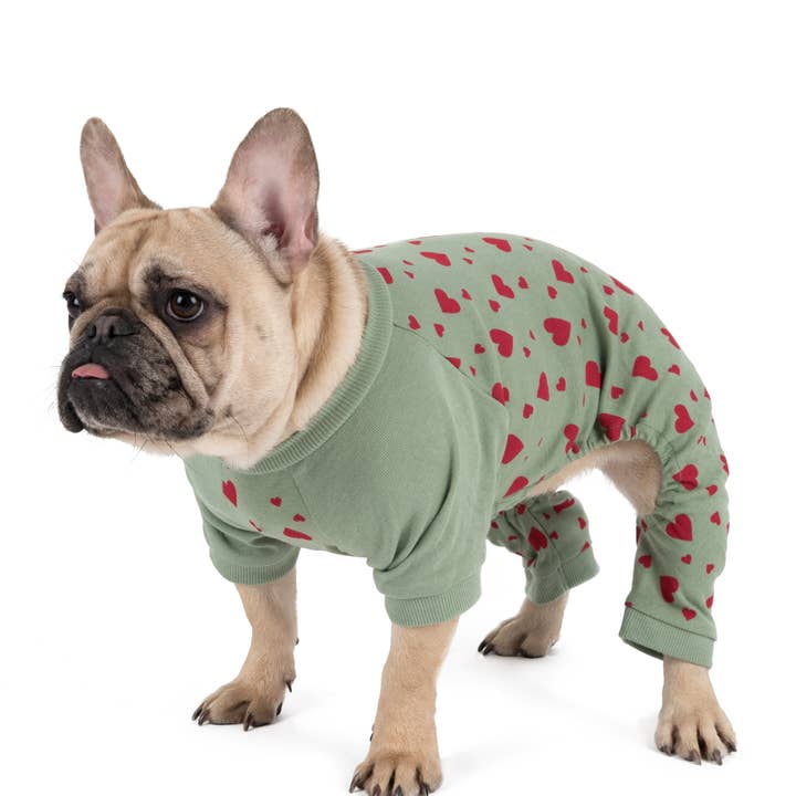 Leveret Pajamas - Wholesale Pet Pajamas - Dog - Dog Cotton Pajama Prints