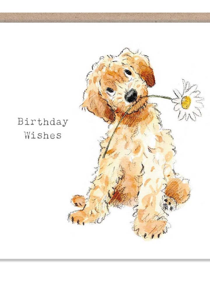 Simpatico biglietto d'auguri per cani, motivo: Cockapoo con margherita ABE091 per la vendita all'ingrosso da parte di Paper Shed Design Ltd