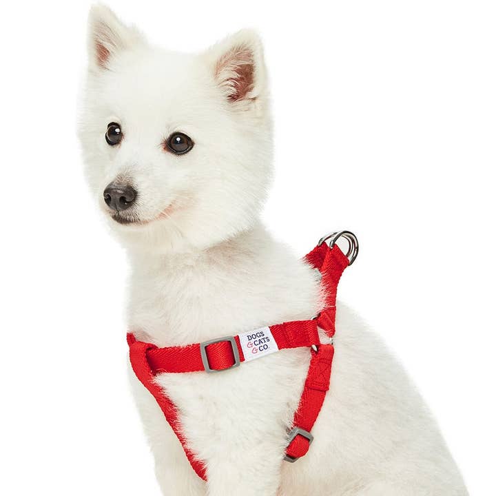 Dogs & Cats & Co. Classic Solid Color Dog Harness for wholesale by Blueberry Pet