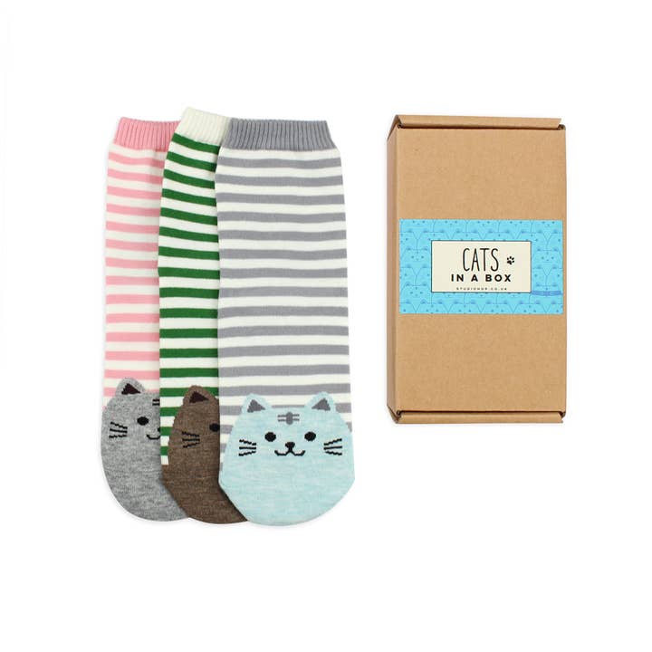 Studio Hop - Wholesale Socks - Women's - Cat Socks in a Box2