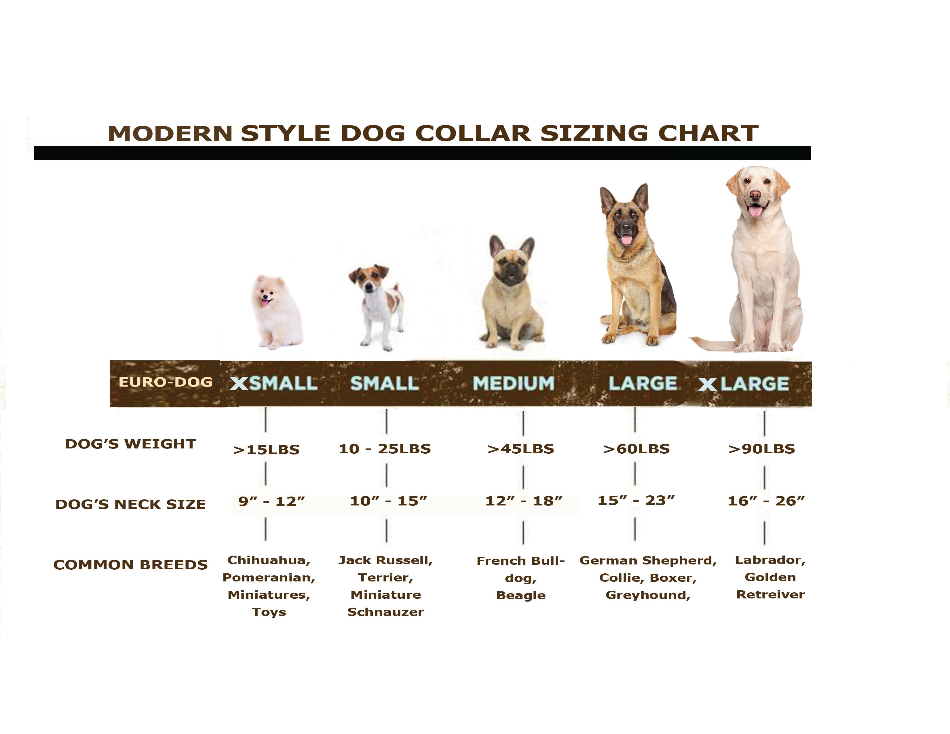 Euro-Dog Collars and Leads – wholesale Halsband - Hund – Mjukt läderhalsband för hund med modern snabbspänne i metall5