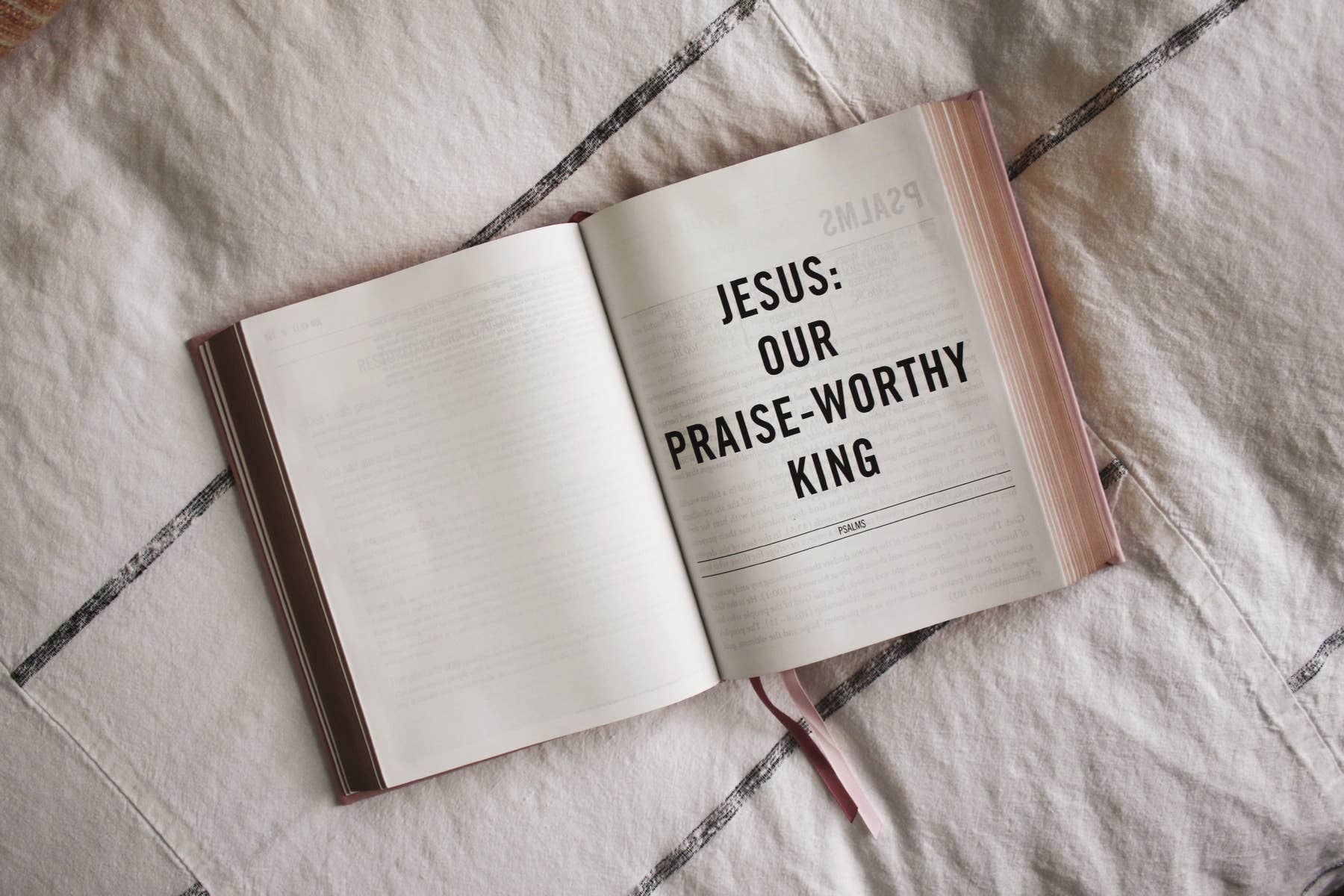 HarperCollins Christian Publishing - Wholesale Religion - ESV The Jesus Bible Leathersoft Over Board Pink6