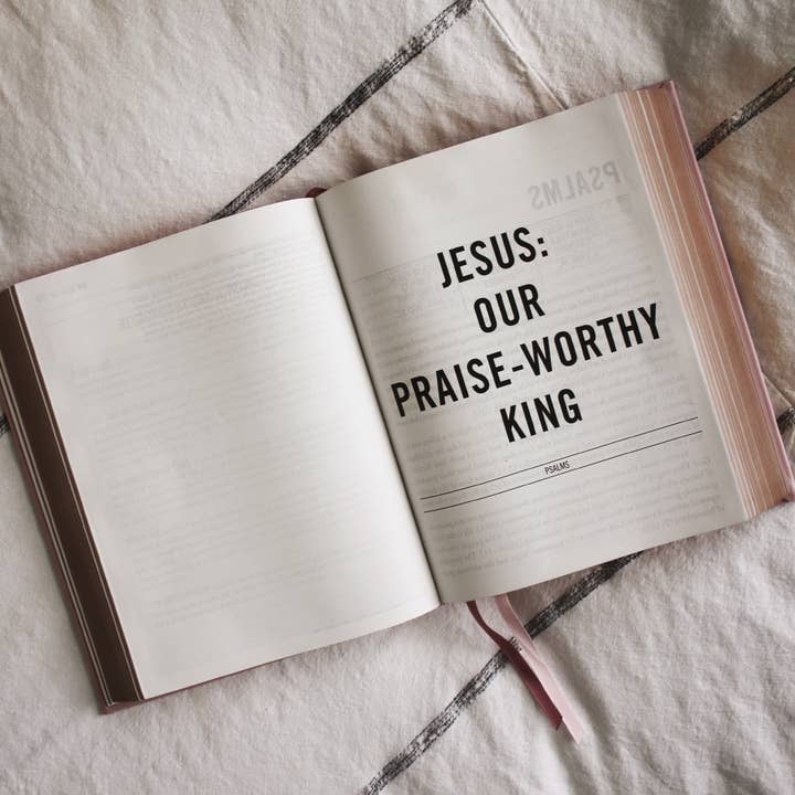 HarperCollins Christian Publishing - Wholesale Religion - ESV The Jesus Bible Leathersoft Over Board Pink6