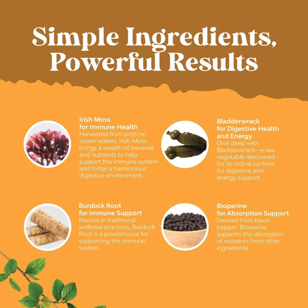 Nature's Craft - Wholesale Oral Supplement/Vitamin - Irish Sea Moss + Bladderwrack Capsules – Superfoods, 180ct3