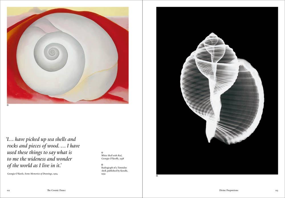 W. W. Norton - Wholesale Body, Mind & Spirit - The Cosmic Dance8