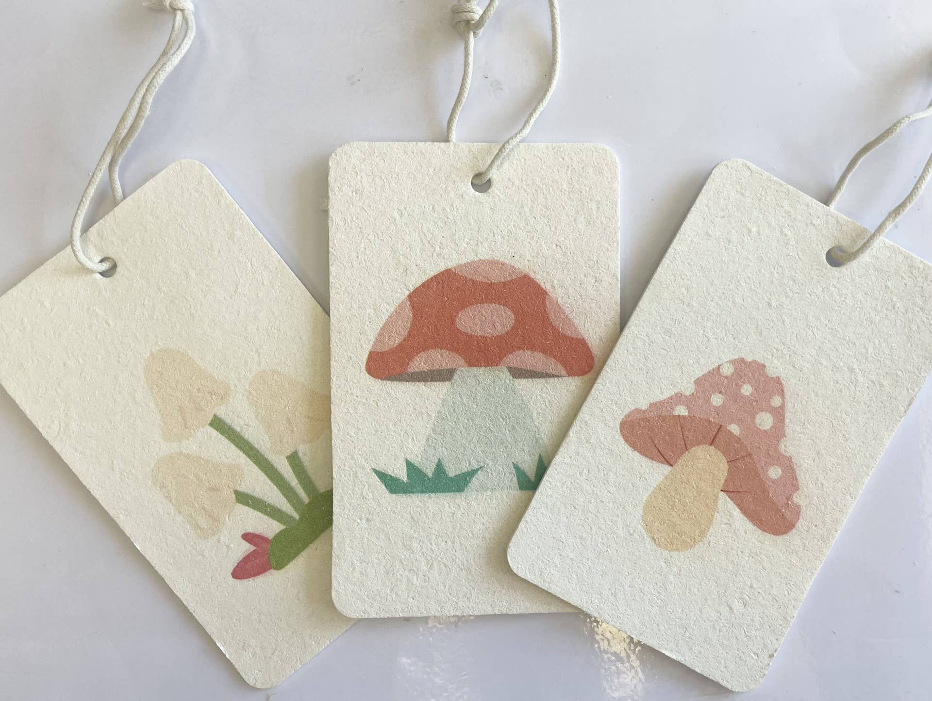 Arizona Thistle - Wholesale Cleaning Sponge - Eco Sponge 3pk0