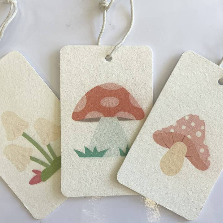 Arizona Thistle - Wholesale Cleaning Sponge - Eco Sponge 3pk0