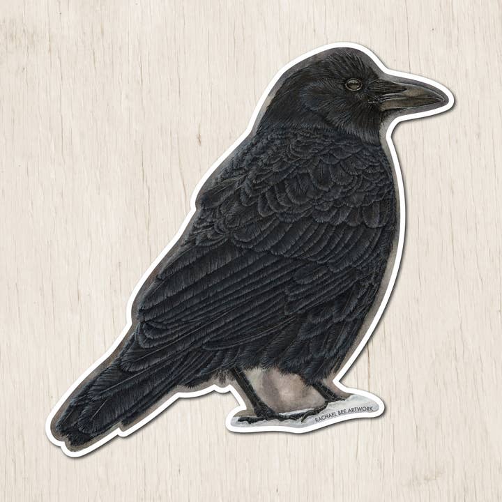 American Crow Sticker for wholesale by Rachael Bee Artwork