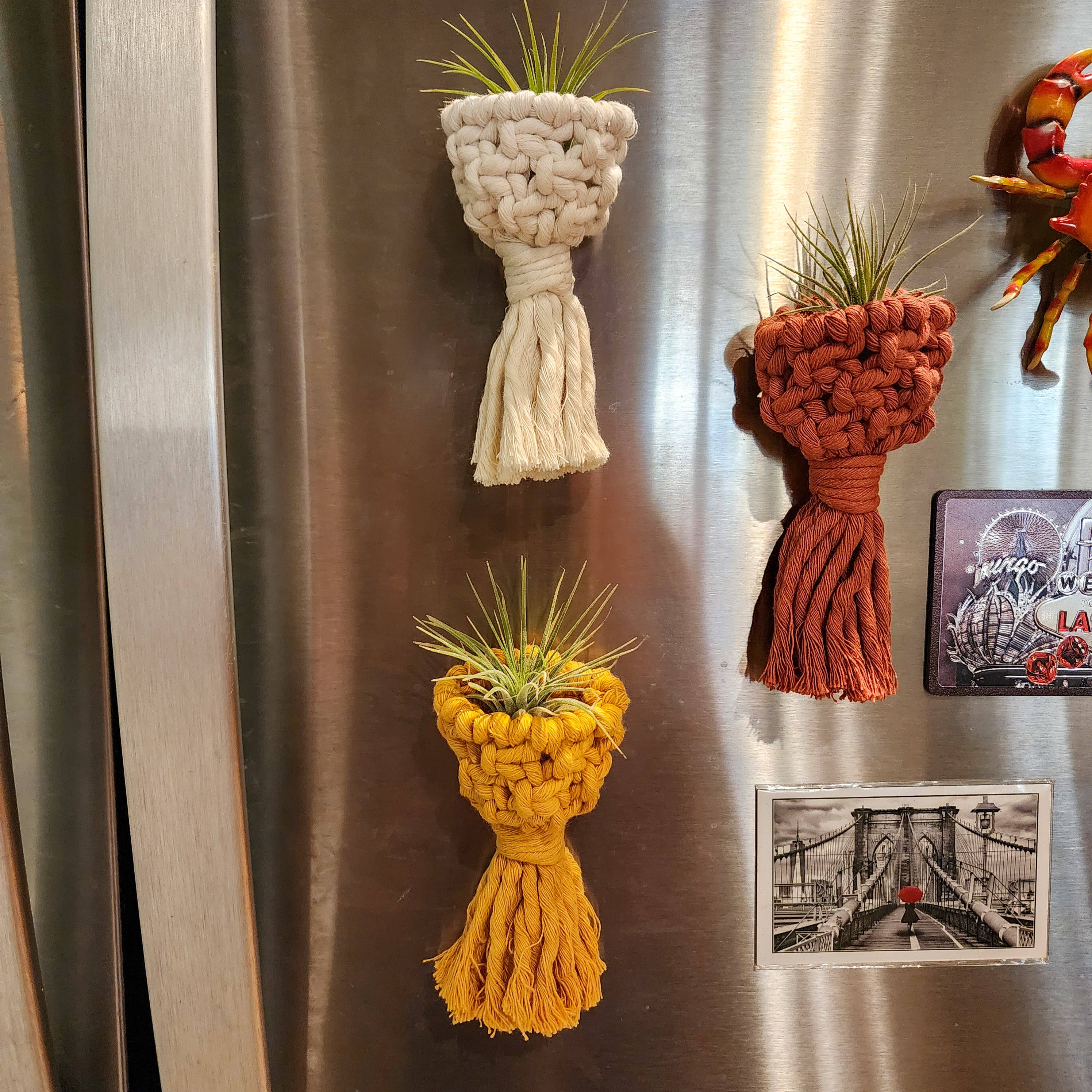 Handmade By Uruba - Vendita all'ingrosso Fioriere a sospensione - Porta Piante Aeree Magnetico per Frigorifero | Accessori per Piante Fatti a Mano8