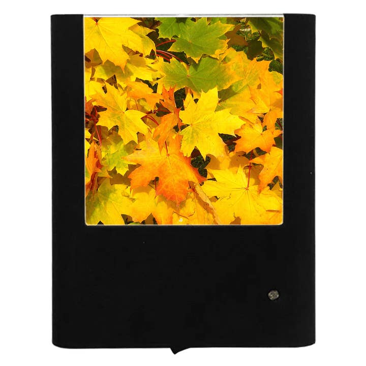 Autumn Leaves for wholesale by Nightlight Studio
