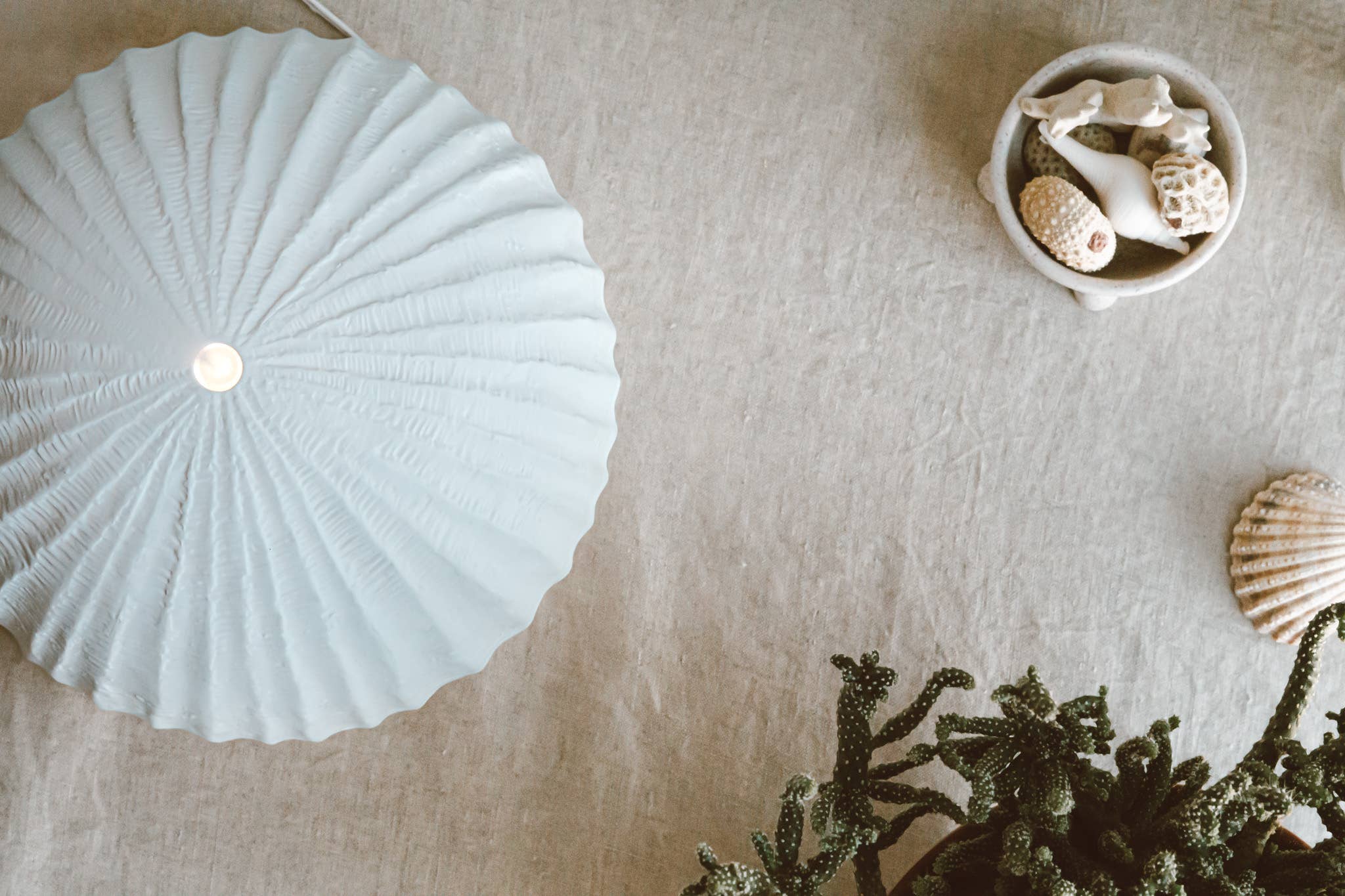 Made By Zen - Vendita all'ingrosso Diffusore elettronico - Diffusore di aromi Oceania 2