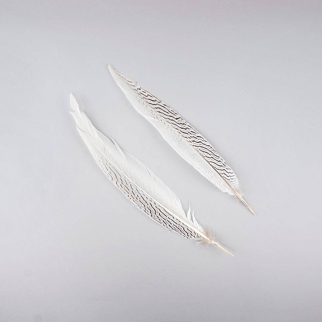 Zucker Feather Products - Vente Plume - Plumes de queue de faisan argentées - Naturelles